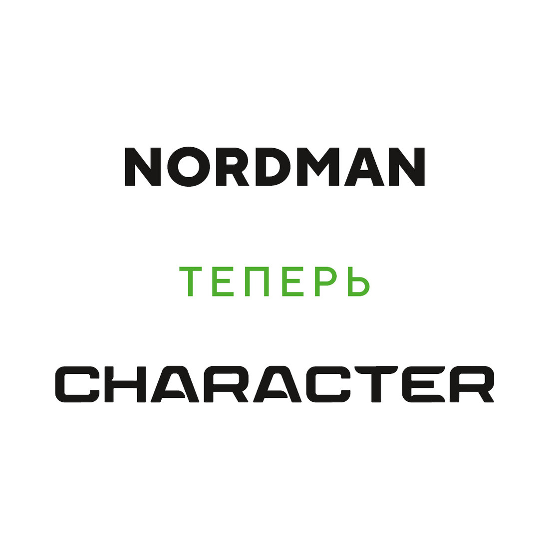 245/45  R18  Ikon (Nokian Tyres) Nordman SZ2 (Character Ultra) 100W XL Вид 2